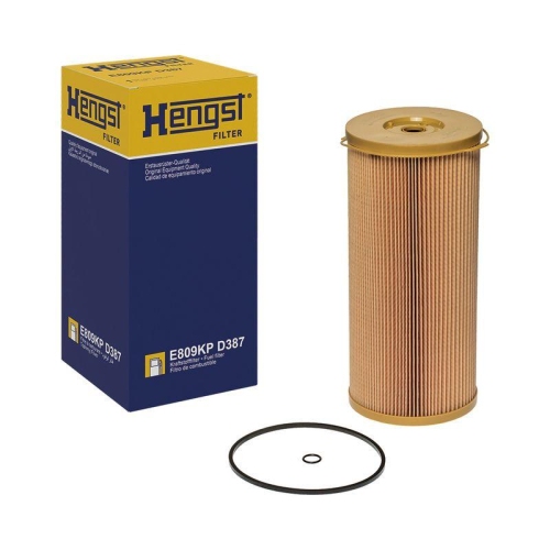 HENGST FILTER Kraftstofffilter E809KP D387