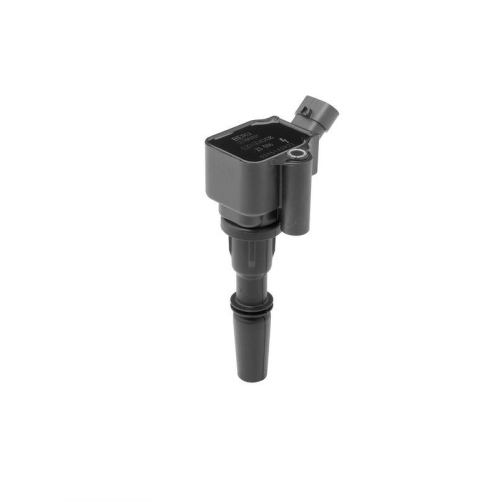 BorgWarner (BERU) Z&uuml;ndspule ZS596