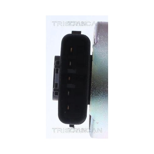 TRISCAN AGR-Ventil 8813 13100