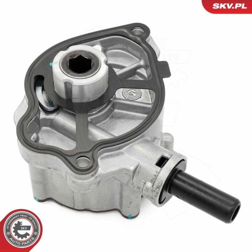 ESEN SKV Unterdruckpumpe, Bremsanlage 18SKV081