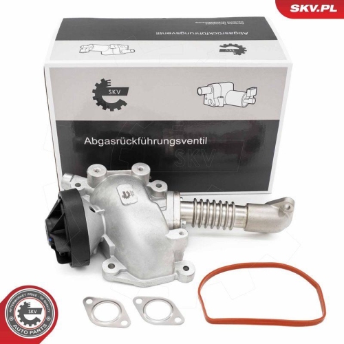 ESEN SKV AGR-Ventil 14SKV257