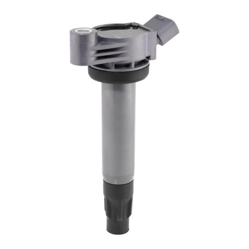BorgWarner (BERU) Z&uuml;ndspule ZSE309