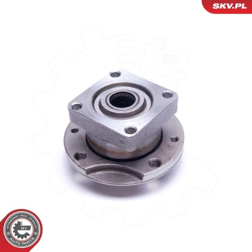 ESEN SKV Radlagersatz 29SKV455