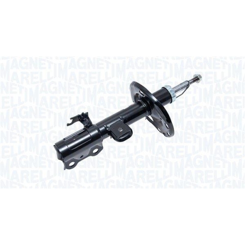MAGNETI MARELLI Sto&szlig;d&auml;mpfer 355443070200