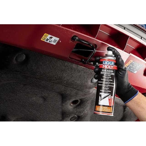 Hohlraumversiegelung LIQUI MOLY 6107 Hohlraumkonservierung hellbraun 500ml Spray