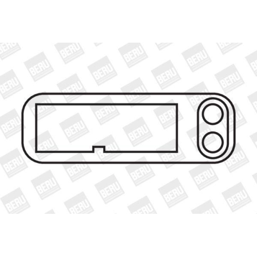 BorgWarner (BERU) Zündspule ZS043