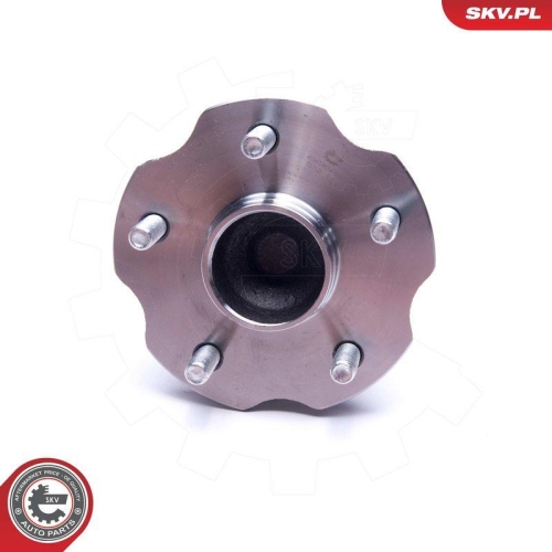ESEN SKV Radlagersatz 29SKV498