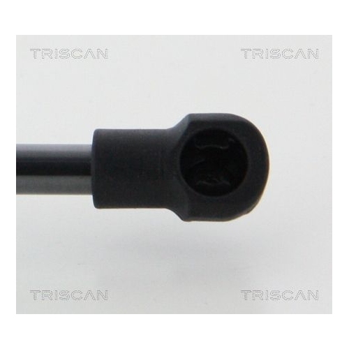 TRISCAN Gasfeder, Koffer-/Laderaum 8710 13292