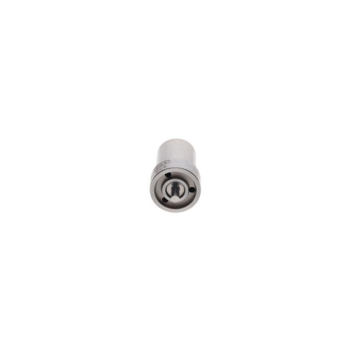 BOSCH Einspritzd&uuml;se 0 434 250 163