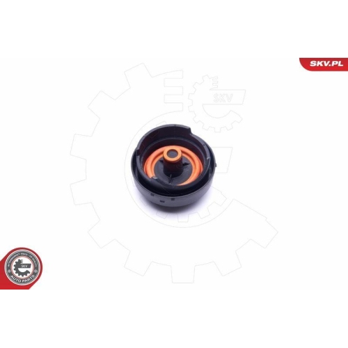 ESEN SKV Membran, Kurbelgehäuseentlüftung