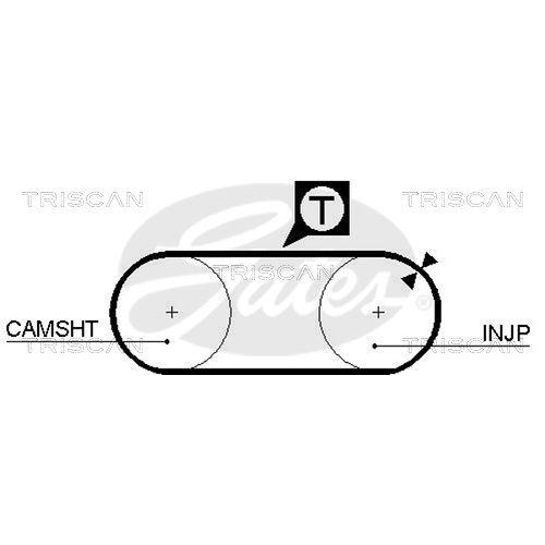 TRISCAN Zahnriemen 8645 5246