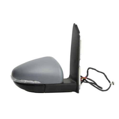 BLIC Außenspiegel 5402-01-038360P