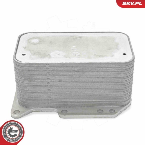 ESEN SKV &Ouml;lk&uuml;hler, Motor&ouml;l 31SKV344