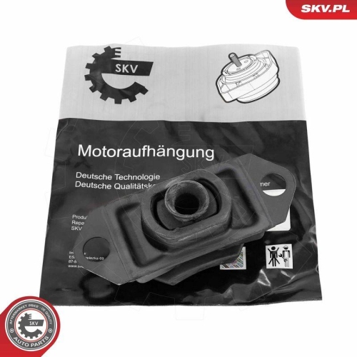 ESEN SKV Lagerung, Motor 75SKV065