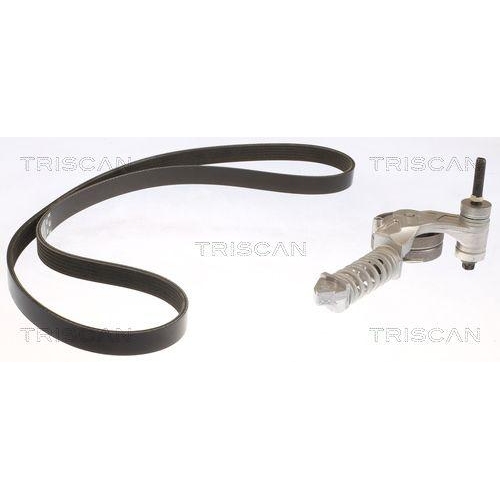 TRISCAN Keilrippenriemensatz 8642 10024