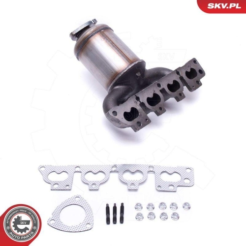 ESEN SKV Katalysator 62SKV006