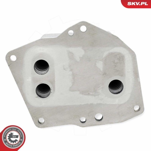 ESEN SKV &Ouml;lk&uuml;hler, Motor&ouml;l 31SKV348