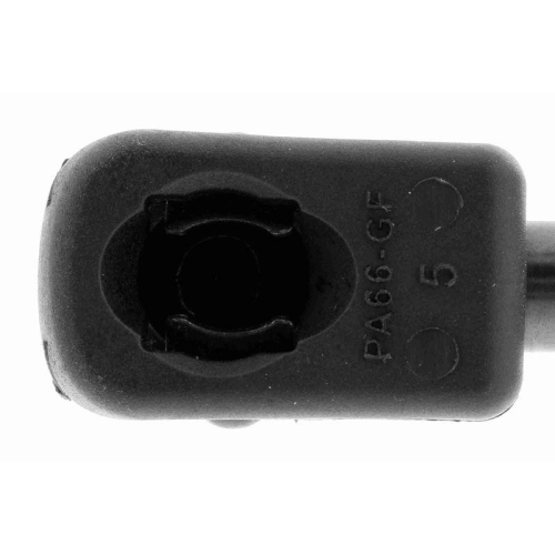 VAICO Gasfeder, Motorhaube Original VAICO Qualität V10-1957