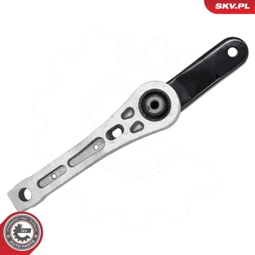 ESEN SKV Lagerung, Motor 75SKV334