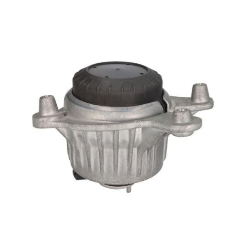REINHOCH Lagerung, Motor RH11-3105