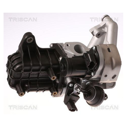 TRISCAN AGR-Ventil 8813 28046