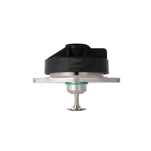 VALEO AGR-Ventil 703266