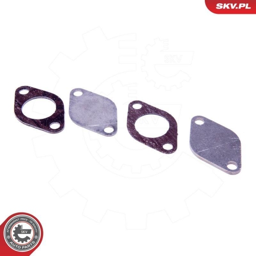 ESEN SKV Reparatursatz, AGR-Ventil 14SKV532