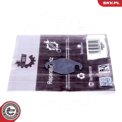 ESEN SKV Reparatursatz, AGR-Ventil 14SKV571