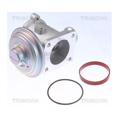 TRISCAN AGR-Ventil 8813 11105