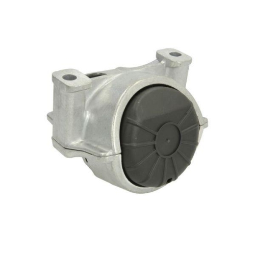 REINHOCH Lagerung, Motor RH11-0135