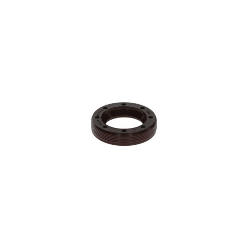 BOSCH Dichtung F 00N 202 338