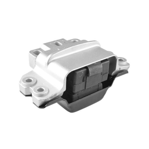 TEDGUM Lagerung, Motor TED52829