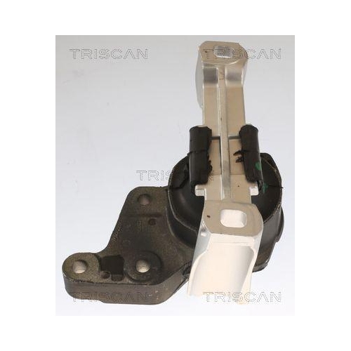 TRISCAN Lagerung, Motor 8505 16113