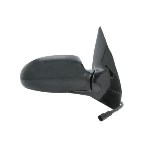 BLIC Au&szlig;enspiegel 5402-04-1129399P