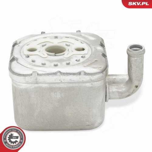 ESEN SKV &Ouml;lk&uuml;hler, Motor&ouml;l 31SKV292
