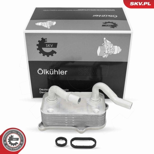 ESEN SKV &Ouml;lk&uuml;hler, Motor&ouml;l 31SKV295