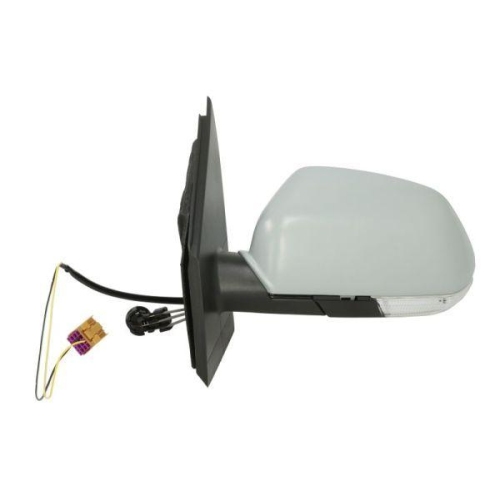 BLIC Außenspiegel 5402-04-1199111P