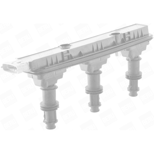 BorgWarner (BERU) Z&uuml;ndspule ZSE153