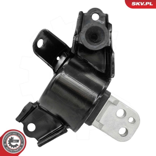 ESEN SKV Lagerung, Motor 75SKV015