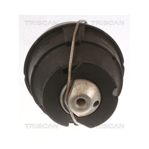 TRISCAN Lagerung, Motor 8505 27103