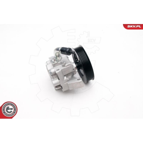 ESEN SKV Hydraulikpumpe, Lenkung