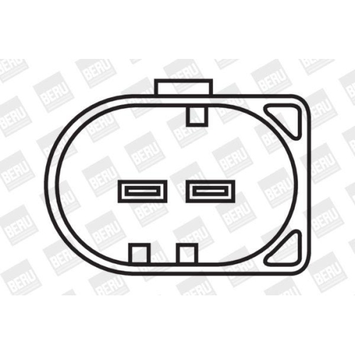 BorgWarner (BERU) Z&uuml;ndspule ZS501