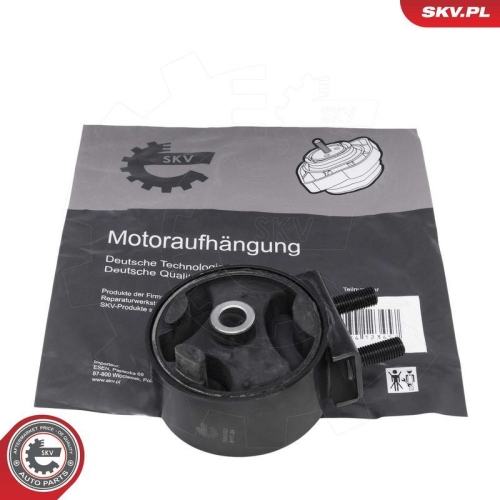 ESEN SKV Lagerung, Motor 75SKV021