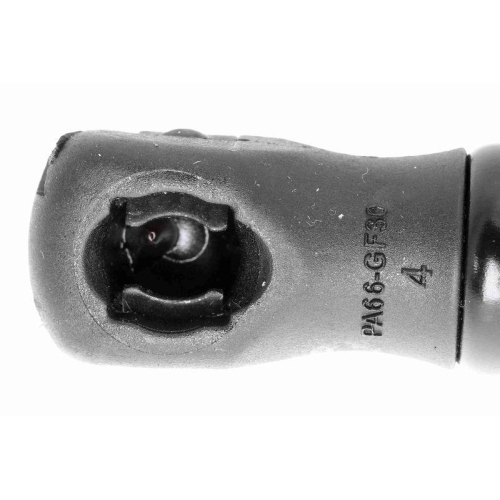 VAICO Gasfeder, Motorhaube Green Mobility Parts V20-2861