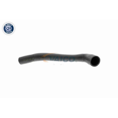 VAICO Schlauch, Zylinderkopfhaubenentl&uuml;ftung Q+, Erstausr&uuml;sterqualit&auml;t V22-1070