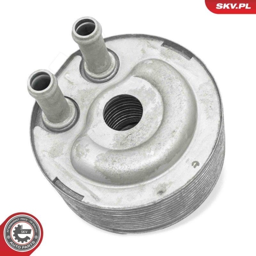 ESEN SKV &Ouml;lk&uuml;hler, Motor&ouml;l 31SKV314