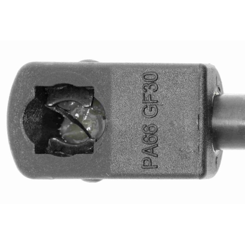 VAICO Gasfeder, Motorhaube Original VAICO Qualit&auml;t V10-1949