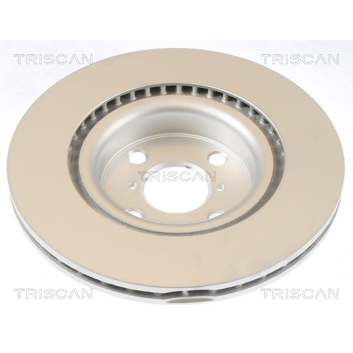 TRISCAN Bremsscheibe 8120 131064c