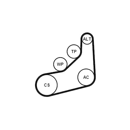 CONTINENTAL CTAM Keilrippenriemensatz 6PK1157 EXTRA K1
