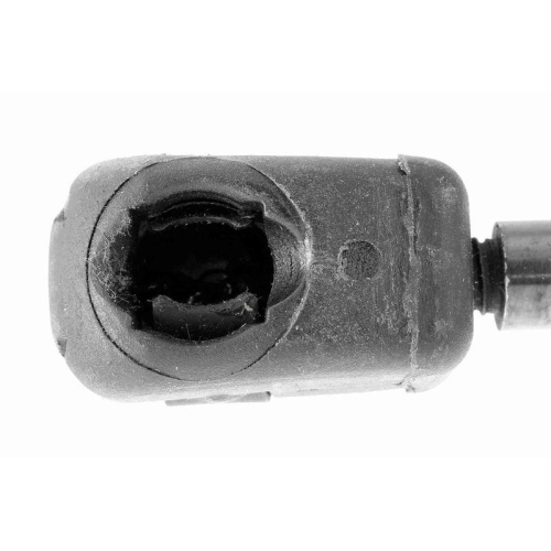 VAICO Gasfeder, Motorhaube Original VAICO Qualit&auml;t V10-2073